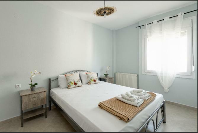 Bright Spacious Two-Bedroom Apartment Szaloniki Kültér fotó